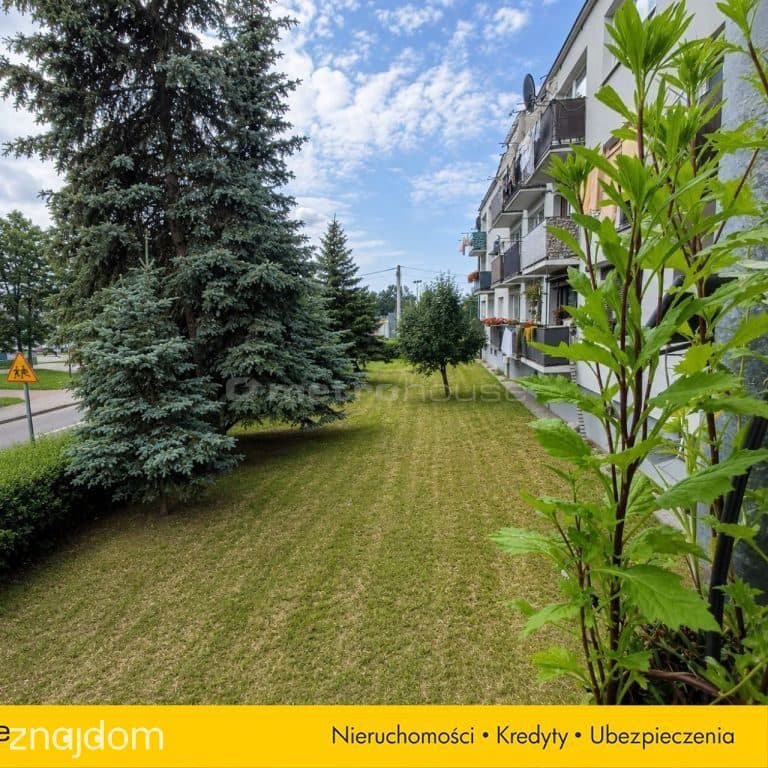 Oferta SMVORO969 - zdjęcie 15