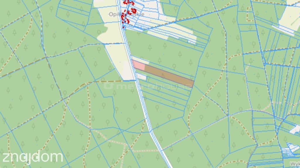 Las 7,47 ha sosna 60-100 lat - zdjęcie 3