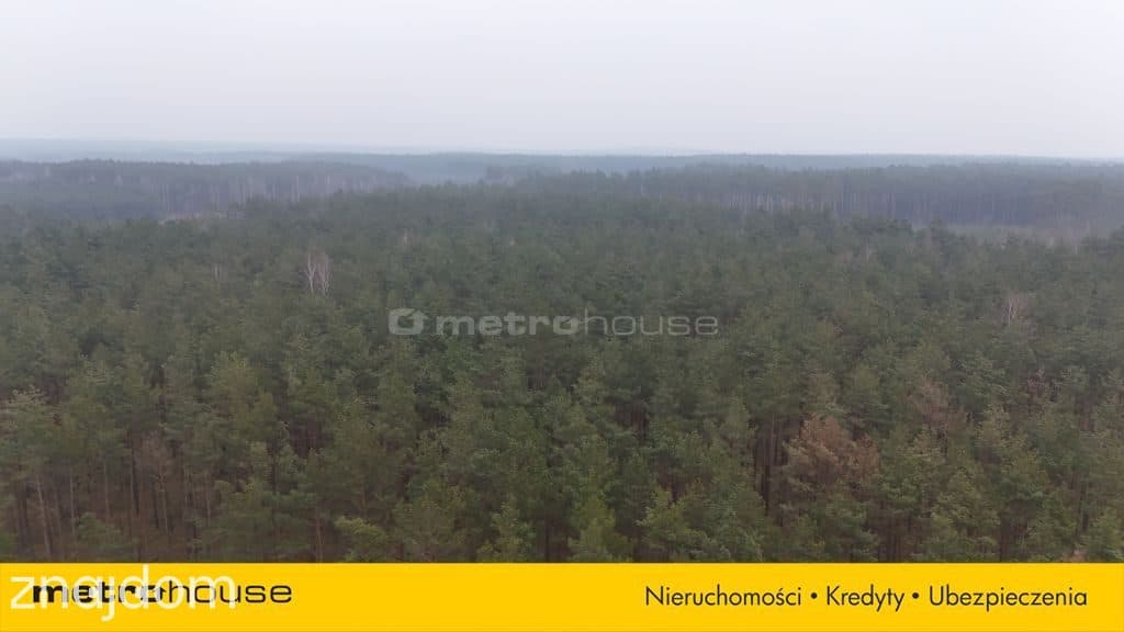Nieruchomość leśna - zdjęcie 3