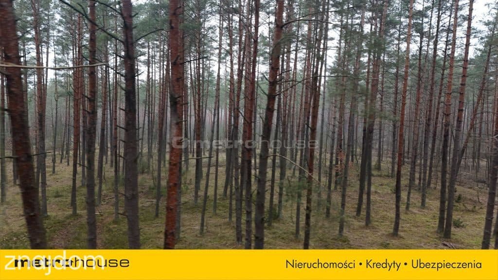 Nieruchomość leśna - zdjęcie 4