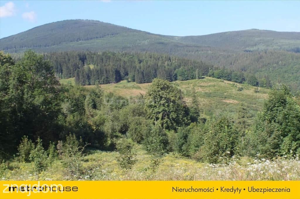 Działki pod Aparthotel / SPA w Karkonoszach - zdjęcie 3