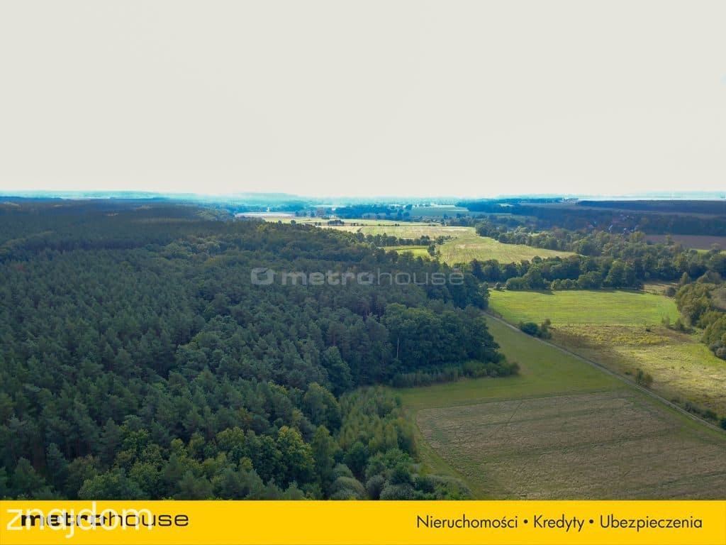 Dom w Bielawie Dolnej - PRZYGOTOWANNY DO REMONTU - zdjęcie 10