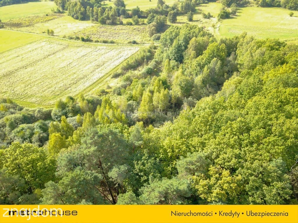 Dom w Bielawie Dolnej - PRZYGOTOWANNY DO REMONTU - zdjęcie 12