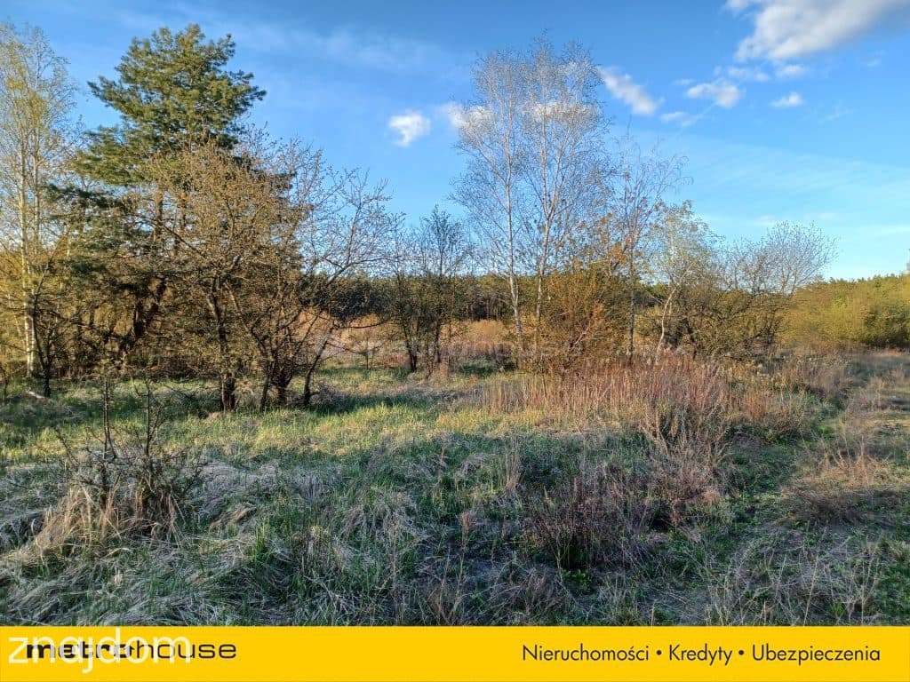DUŻY TEREN INWESTYCYJNY 6800 m² CHOSZCZÓWKA - zdjęcie 3