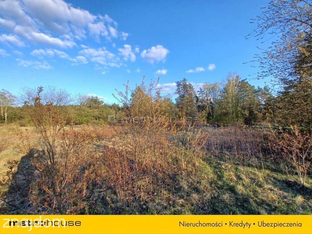 DUŻY TEREN INWESTYCYJNY 6800 m² CHOSZCZÓWKA - zdjęcie 4