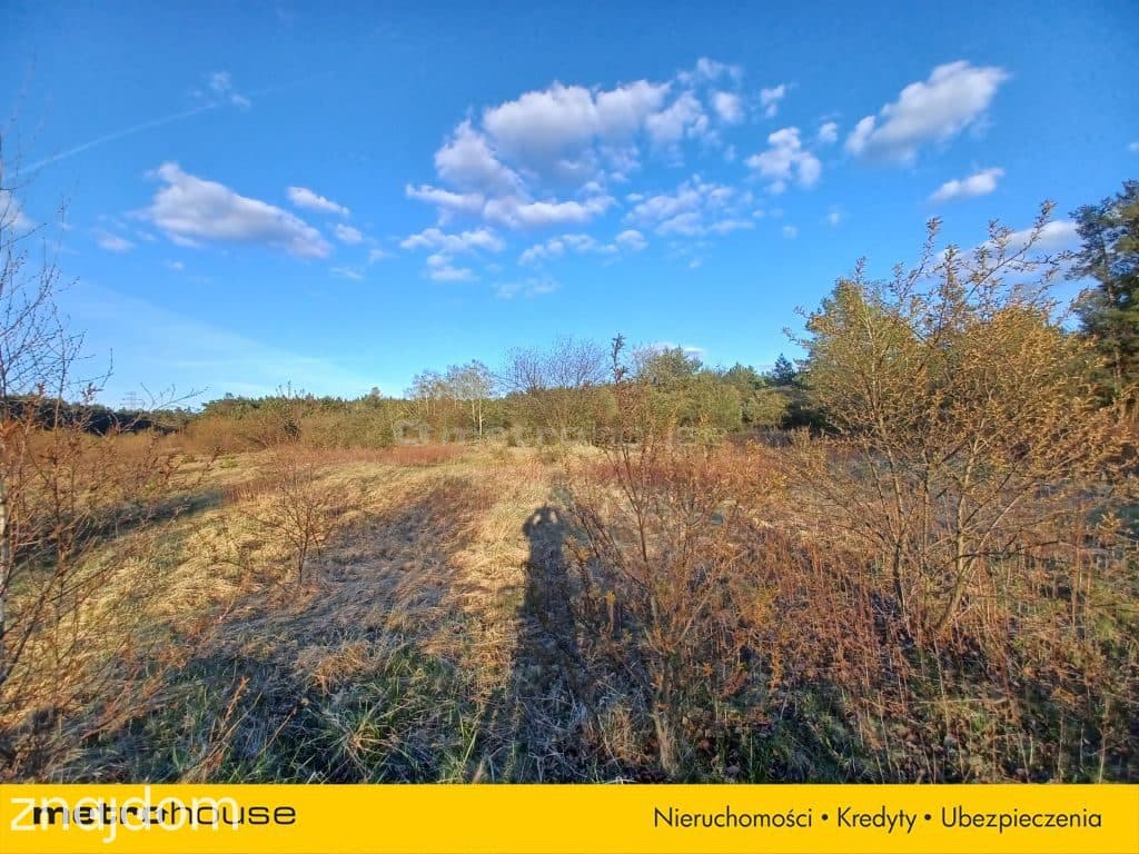 DUŻY TEREN INWESTYCYJNY 6800 m² CHOSZCZÓWKA - zdjęcie 5