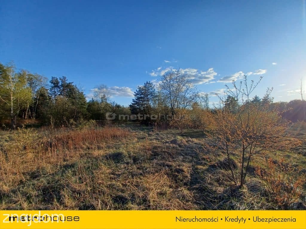 DUŻY TEREN INWESTYCYJNY 6800 m² CHOSZCZÓWKA - zdjęcie 6