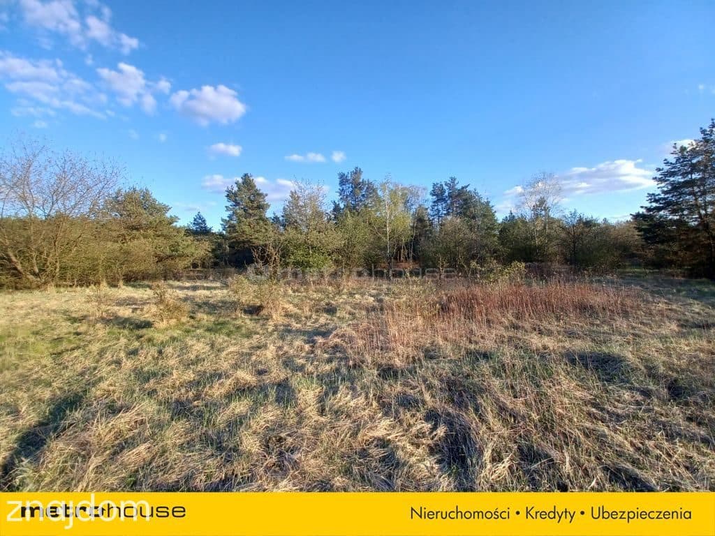 DUŻY TEREN INWESTYCYJNY 6800 m² CHOSZCZÓWKA - zdjęcie 7