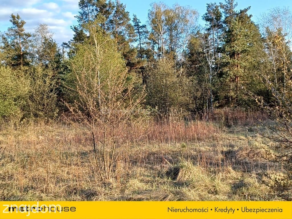 DUŻY TEREN INWESTYCYJNY 6800 m² CHOSZCZÓWKA - zdjęcie 8
