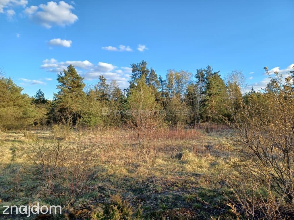 DUŻY TEREN INWESTYCYJNY 6800 m² CHOSZCZÓWKA - zdjęcie 9