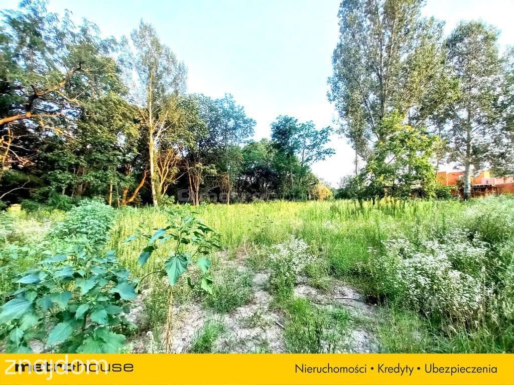 Komorów 2492 m² MPZP 1 km do WKD - zdjęcie 4