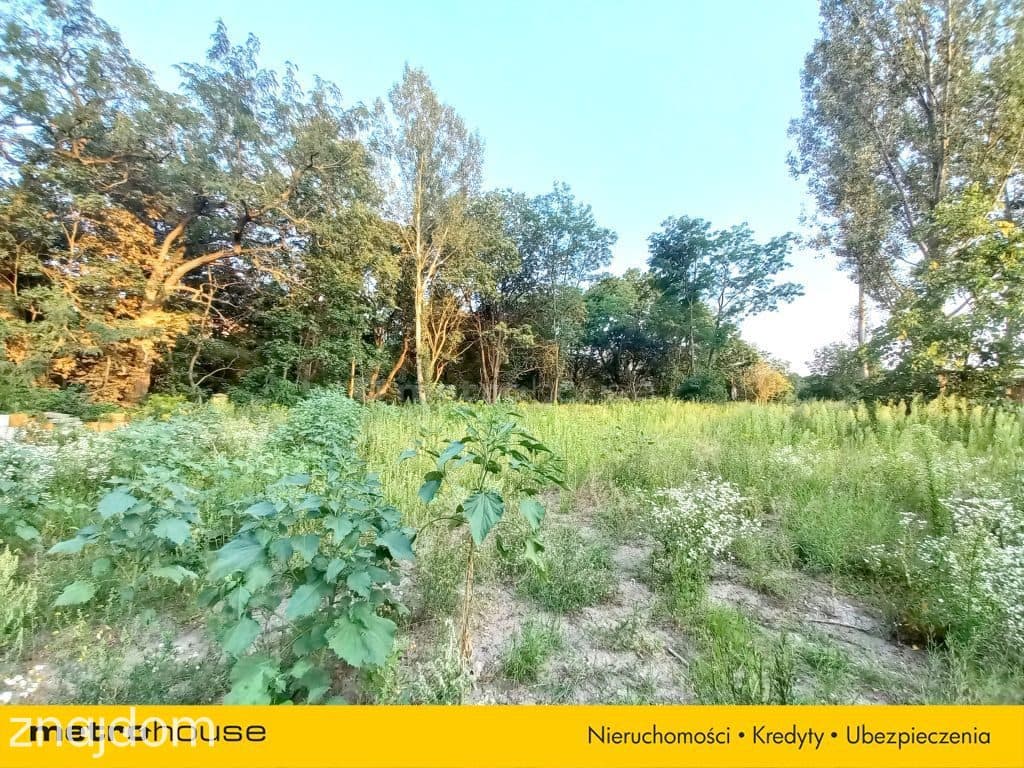Komorów 2492 m² MPZP 1 km do WKD - zdjęcie 5