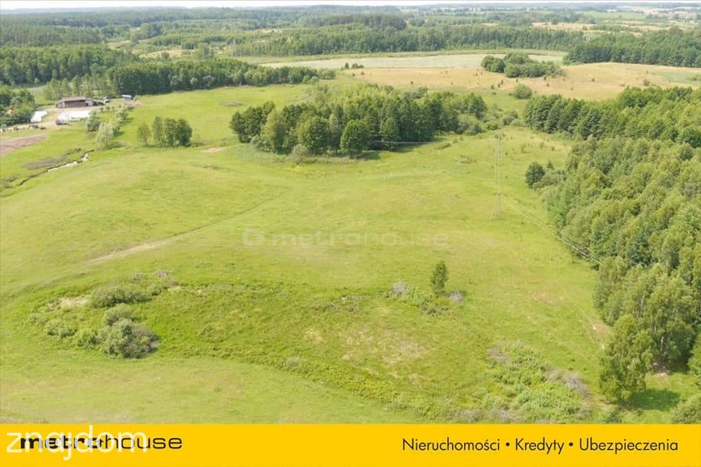 Działka położona w pięknej okolicy nad jeziorem. - zdjęcie 4