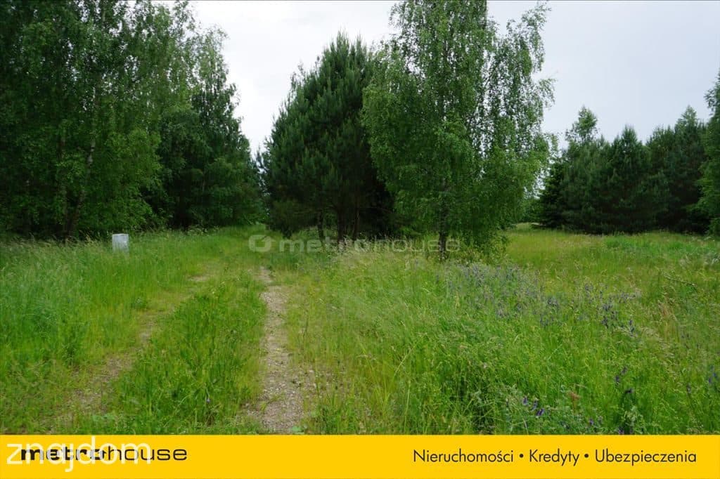 Działka budowlana nad jeziorem - zdjęcie 3