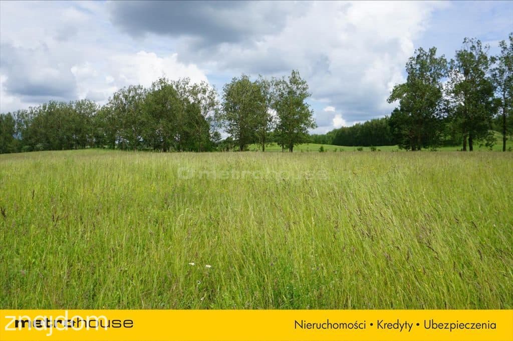 Działka w pięknej okolicy nad jeziorem - zdjęcie 6