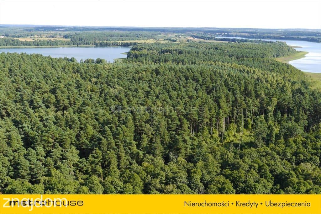 Działka nad wielkimi jeziorami mazurskimi - zdjęcie 3