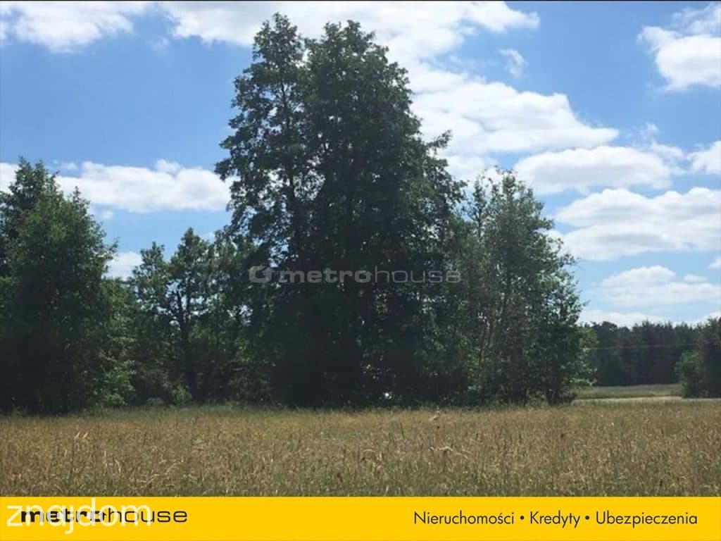 Kup 5 hektarów bez zgody KOWR - zdjęcie 5