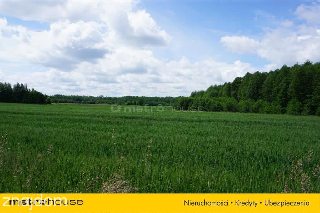 Działka na Szlaku Wielkich Jezior mazurskich - zdjęcie 4