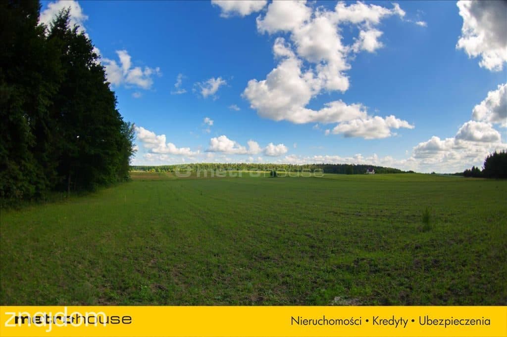Działka nad jeziorem w pięknej okolicy - zdjęcie 6