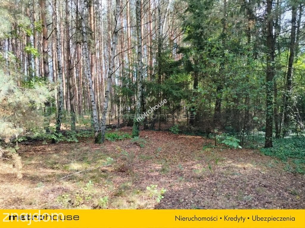 OtwockMlądz: przestronna działka z potencjałem - zdjęcie 5