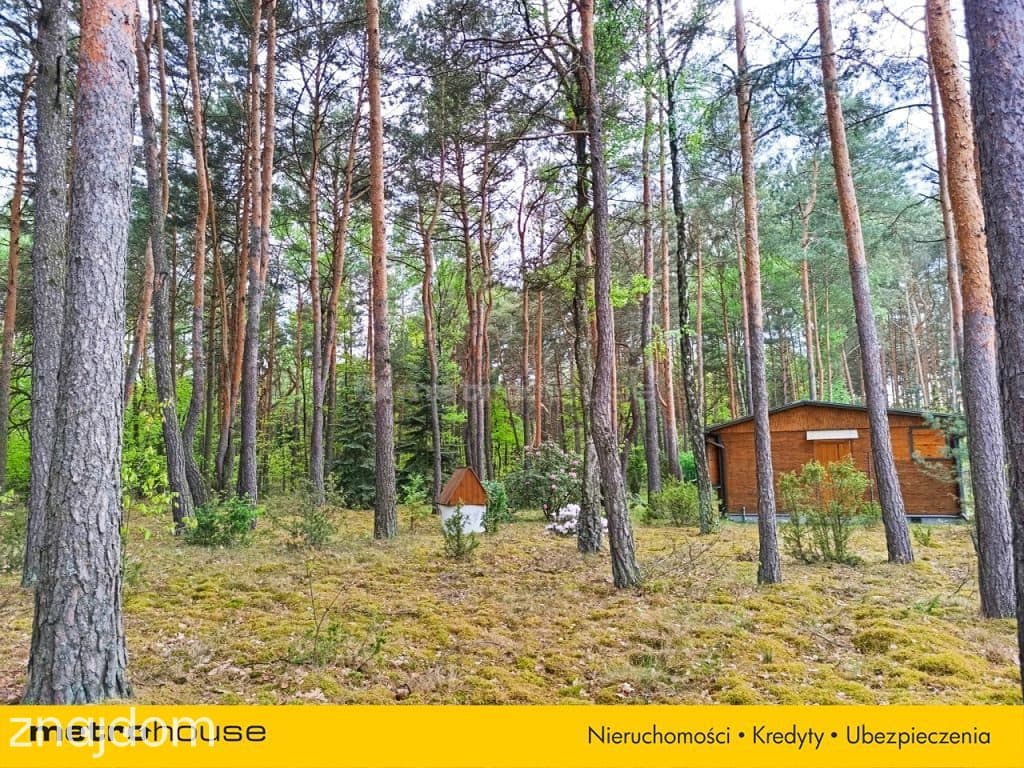 DZIAŁKA REKREACYJNA 2012 m² W LEŚNEJ CISZY - zdjęcie 3