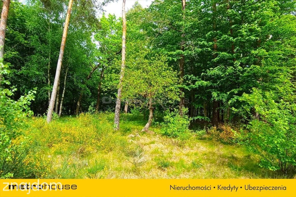 Atrakcyjna działka nad rzeką blisko morza - zdjęcie 10