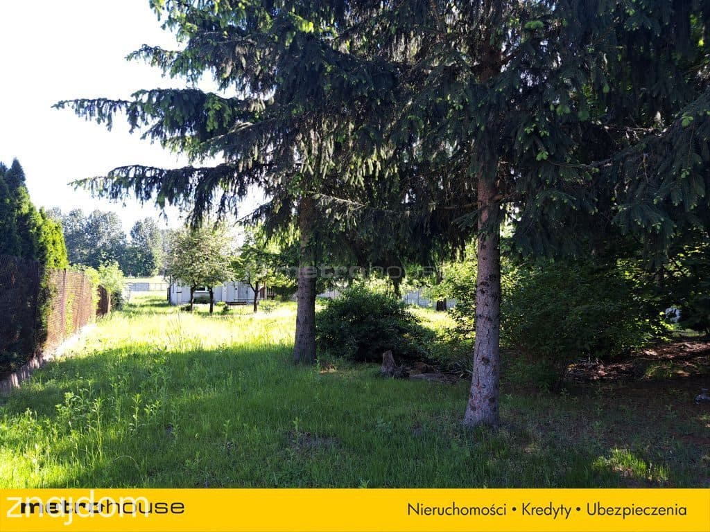 Działka 3482 m² z domem i starodrzewem. - zdjęcie 6