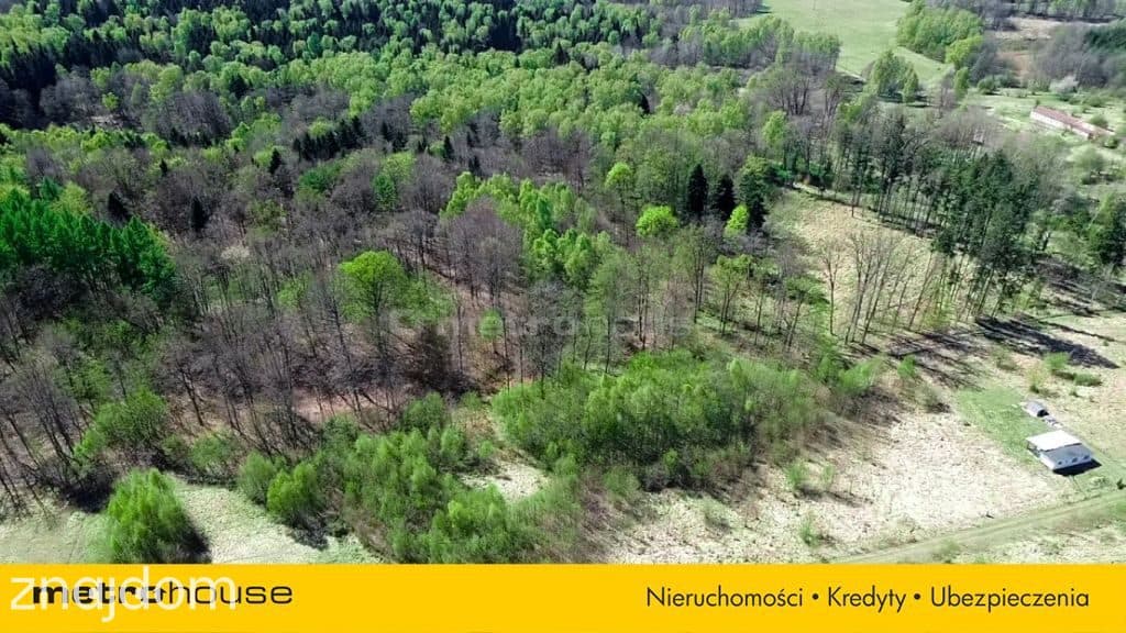 Działka 3000 m² Storkowo, gmina Ińsko - zdjęcie 3
