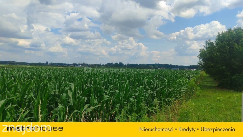 Sprzedam działkę rolno-budowlaną,1.4ha, Dąbrowice - zdjęcie 3