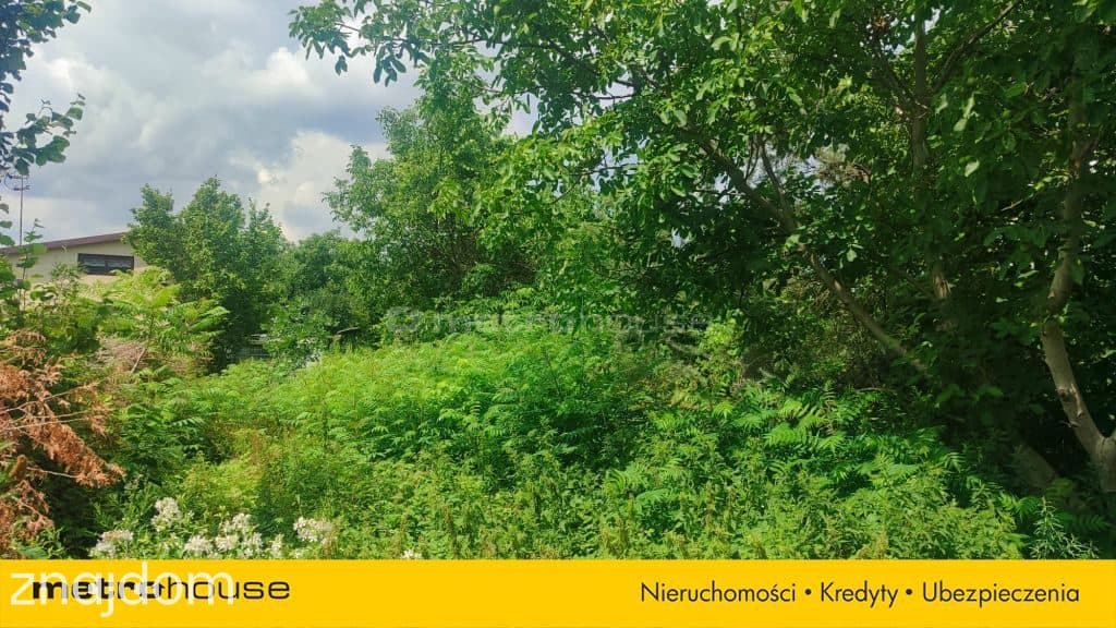 Sprzedam działkę rolno-budowlaną,1.4ha, Dąbrowice - zdjęcie 5