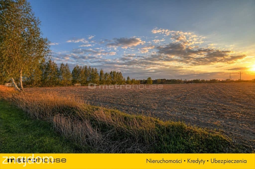 Działka na sprzedaż, 4000m2, Piaski k.Nieborowa,A2 - zdjęcie 2