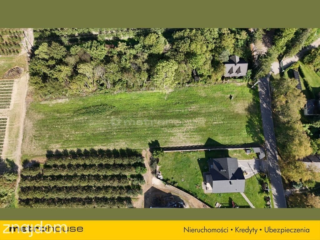 Malownicza działka 3703 m² nad rzeką Pilicą - zdjęcie 9