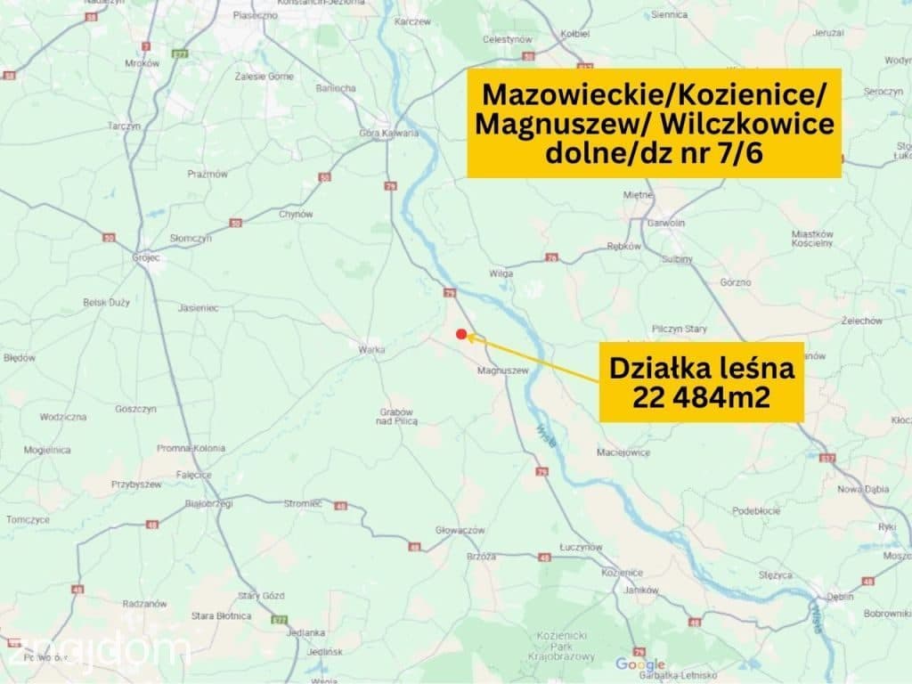Działka leśna 22 484 m² – godzina od Warszawy! - zdjęcie 2