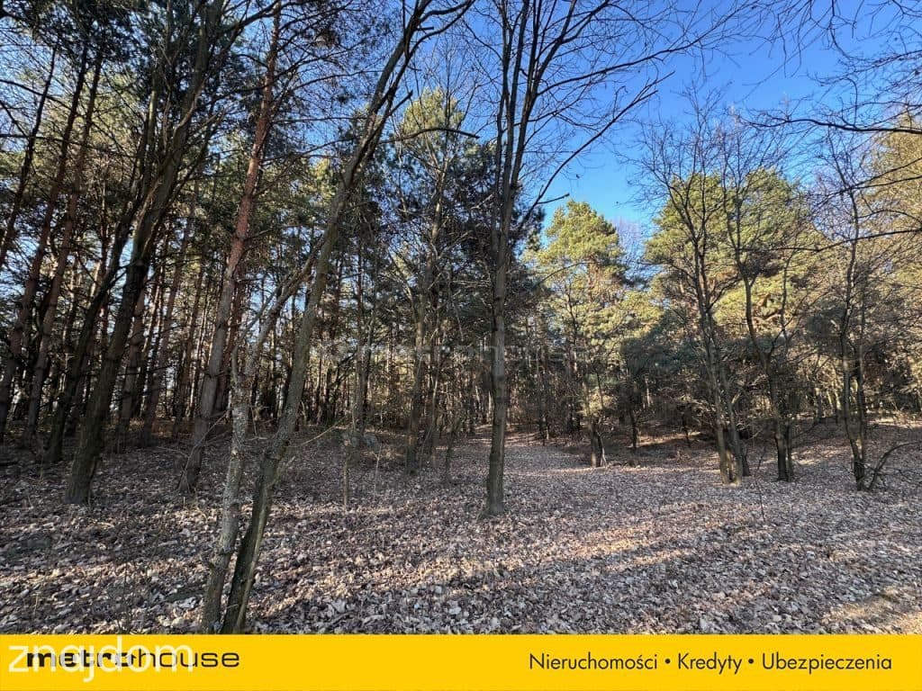 Działka leśna 22 484 m² – godzina od Warszawy! - zdjęcie 7