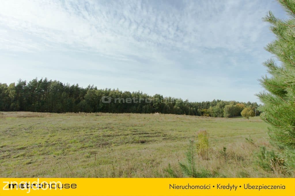Leśna działka w kompleksie, pow. 1770 m² - zdjęcie 7