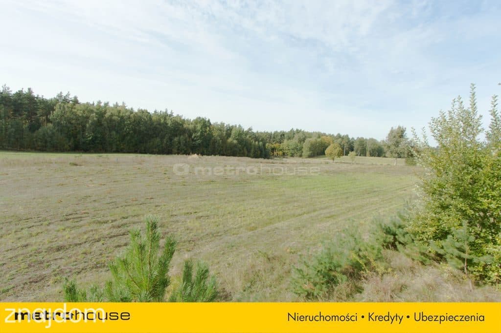 Leśna działka w kompleksie, pow. 1770 m² - zdjęcie 8