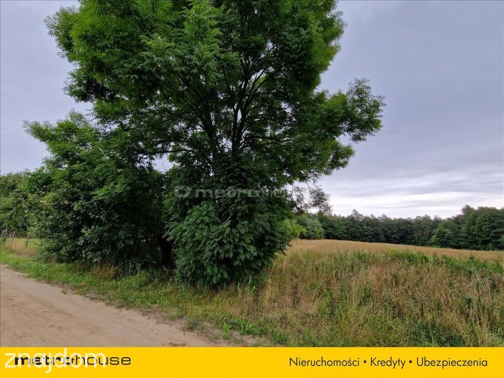 Piękna działka 6941 m.kw. we wsi Bubel-Łukowiska - zdjęcie 9
