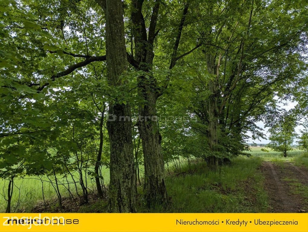 Zabytkowy Park Pałacowy/Dworski z XIX w. - 7.27ha - zdjęcie 2
