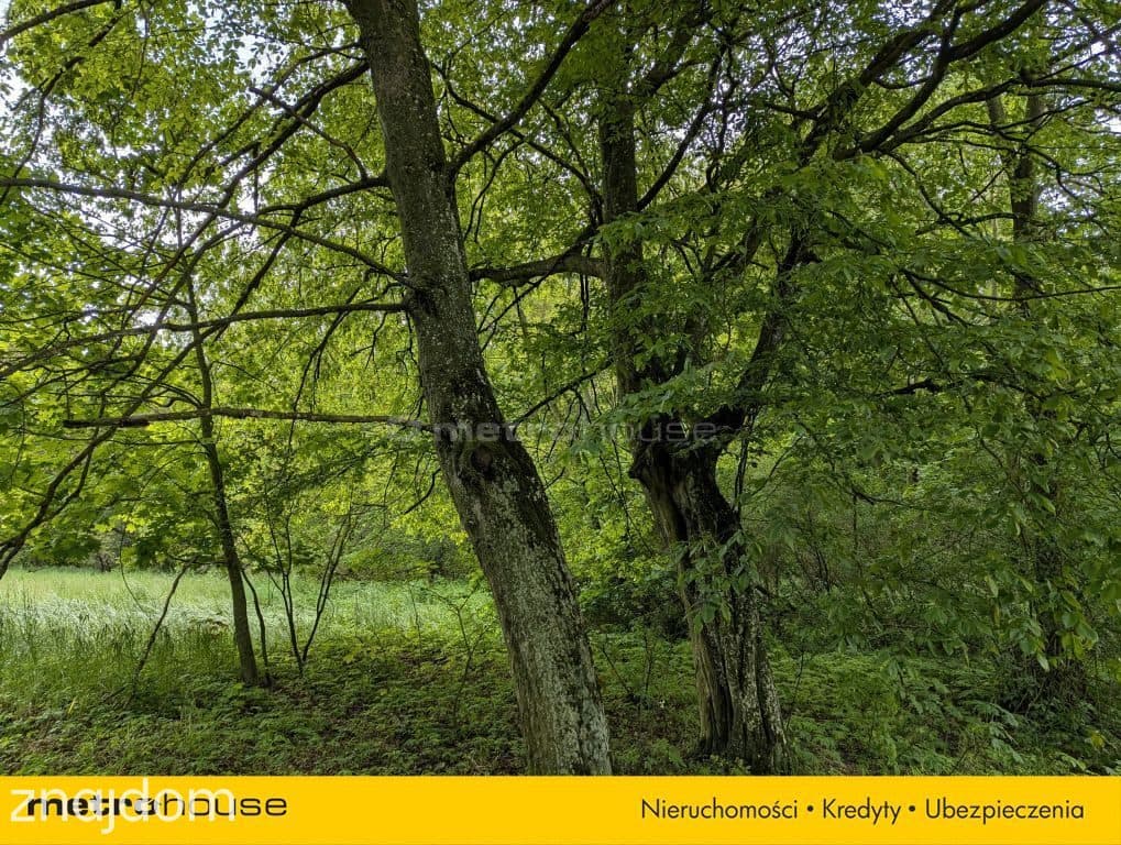 Zabytkowy Park Pałacowy/Dworski z XIX w. - 7.27ha - zdjęcie 4
