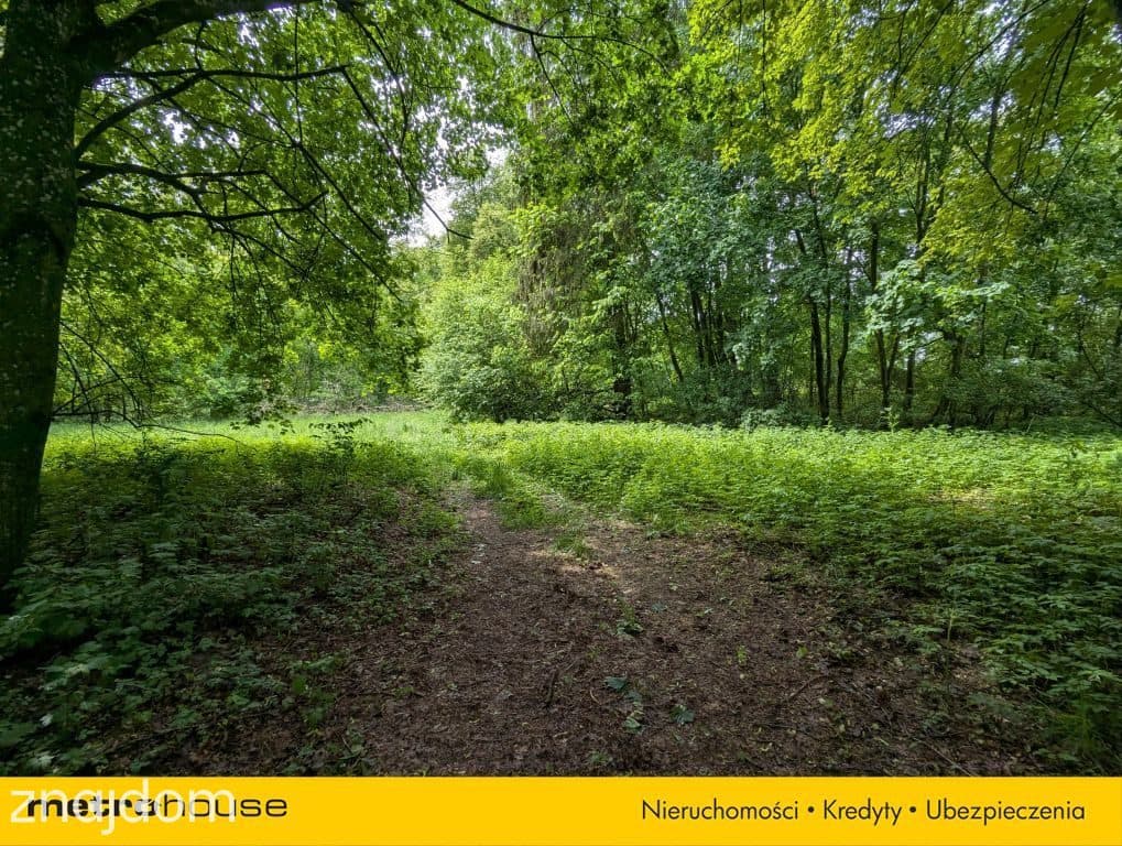 Zabytkowy Park Pałacowy/Dworski z XIX w. - 7.27ha - zdjęcie 5