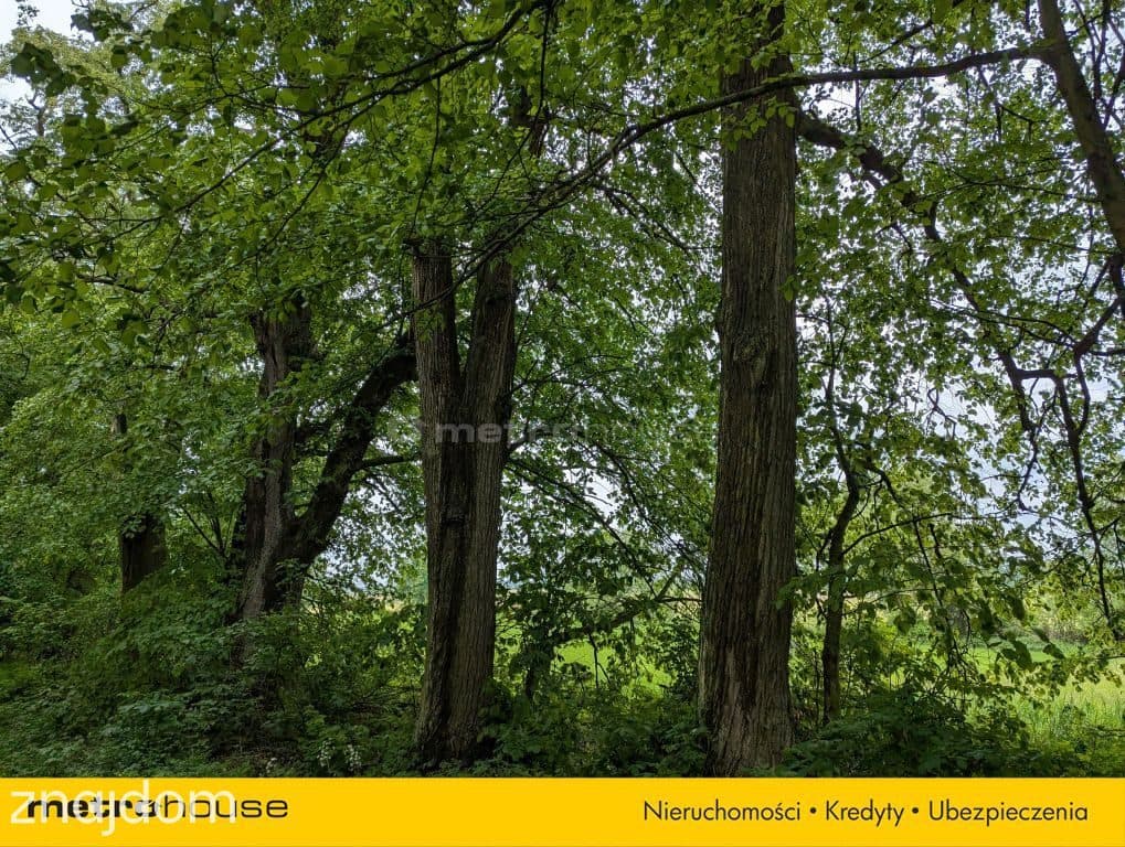 Zabytkowy Park Pałacowy/Dworski z XIX w. - 7.27ha - zdjęcie 6