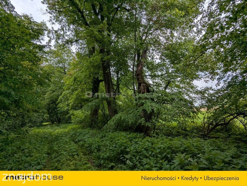 Zabytkowy Park Pałacowy/Dworski z XIX w. - 7.27ha - zdjęcie 9