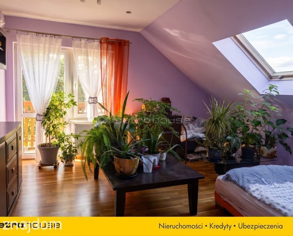 Dom z gotowym biznesem-plantacja borówki - zdjęcie 17