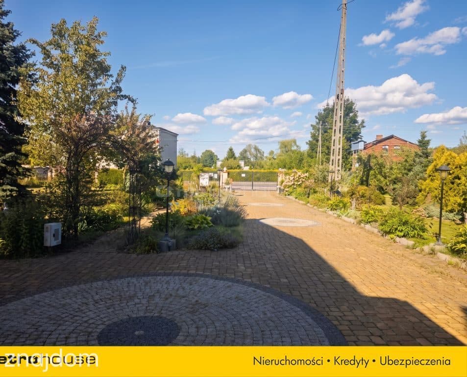 Dom z gotowym biznesem-plantacja borówki - zdjęcie 4