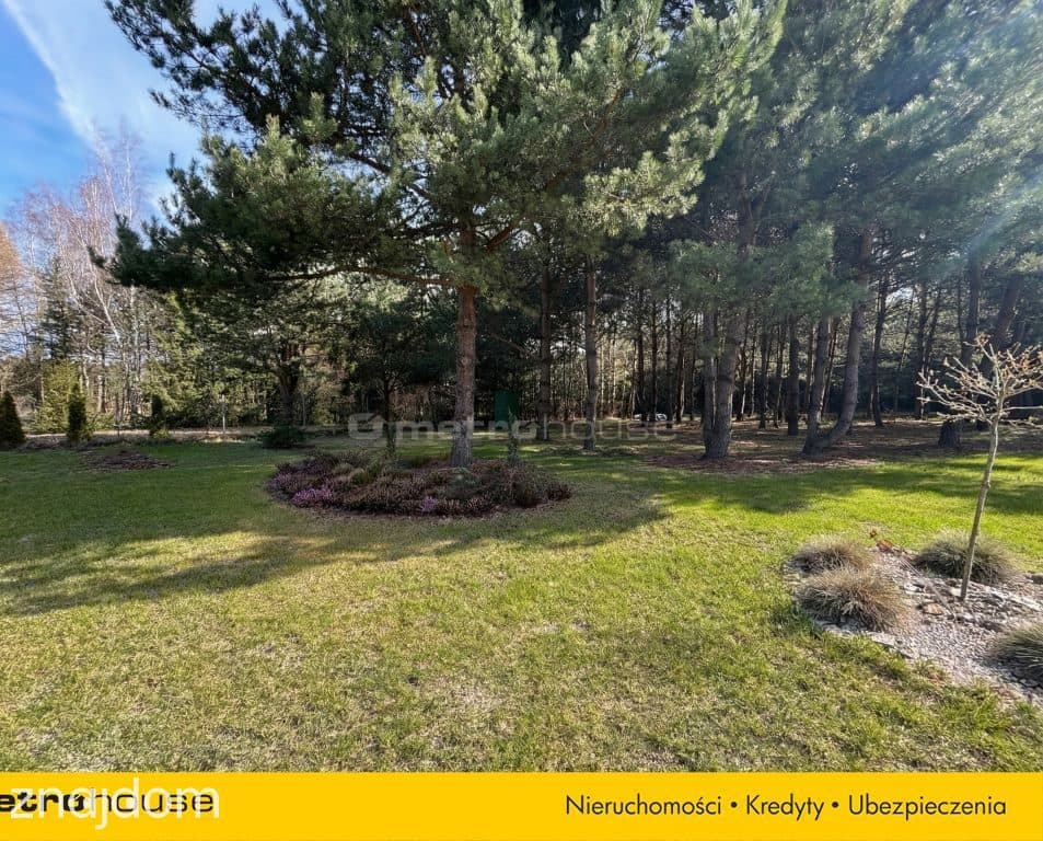 Działka na Jurze Krakowsko-Częstochowskiej- Morsko - zdjęcie 4