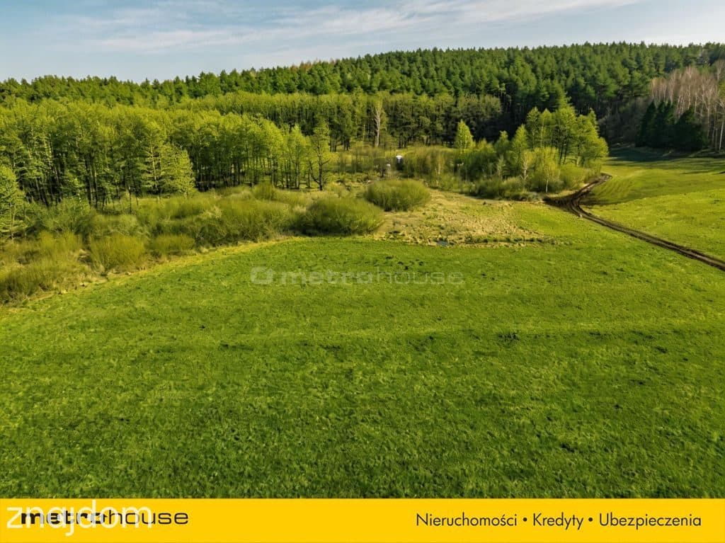Działki z linią brzegową jeziora - zdjęcie 11