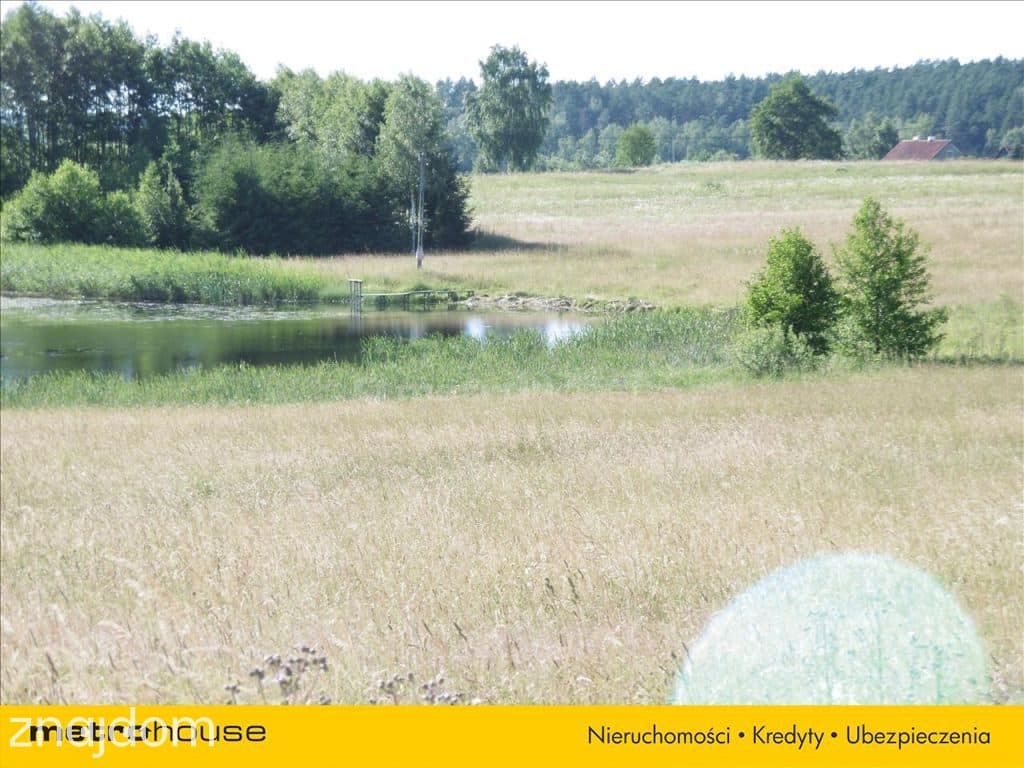 Działka ok. 2 ha, w odległości 25 km. od Olsztyna. - zdjęcie 3