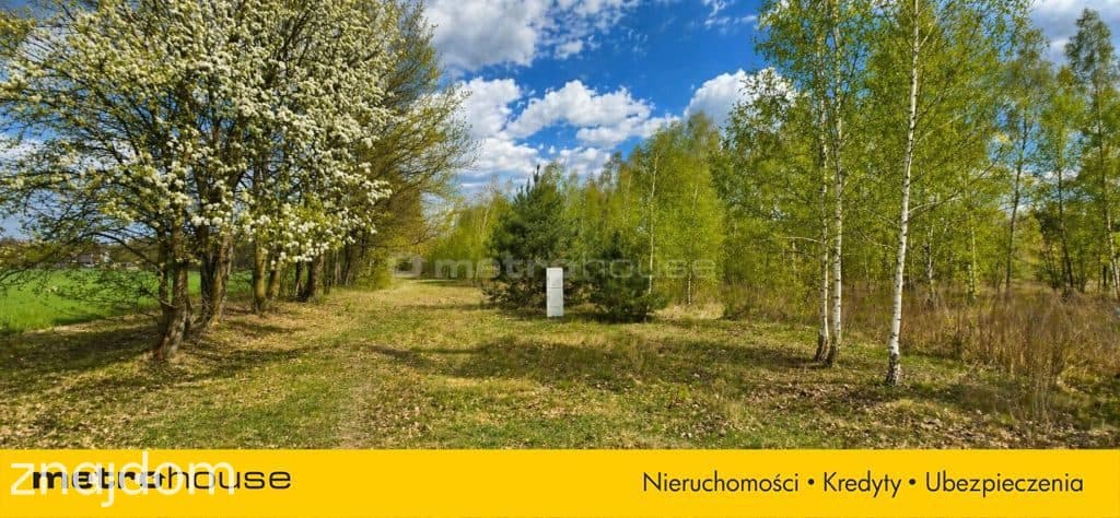 Działka budowlana,3000m2,pozwolenie,k.Skierniewice - zdjęcie 4