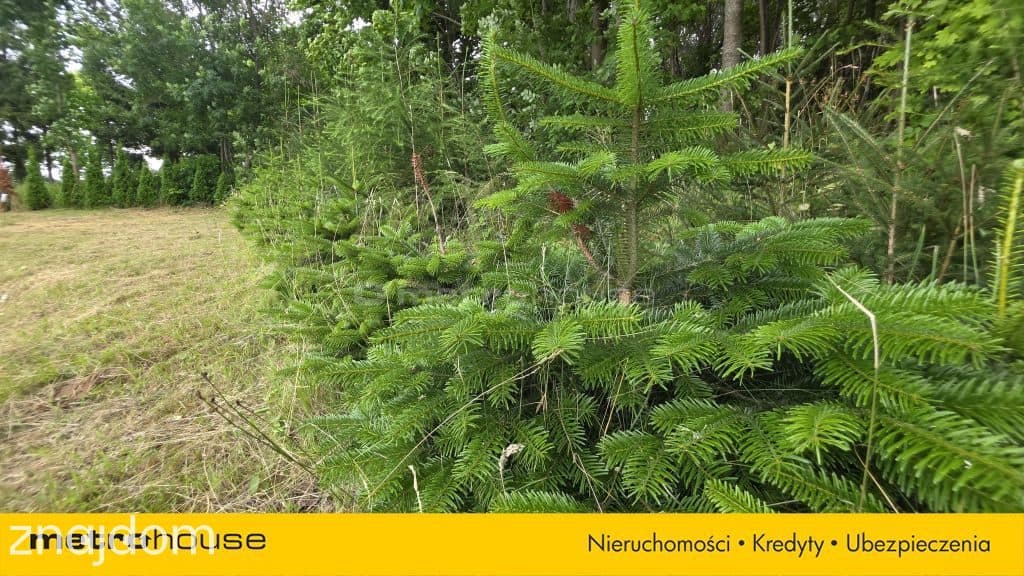 GOTOWA DO BUDOWY DZIAŁKA I 2857M2 I BLISKO ŁEBY - zdjęcie 3