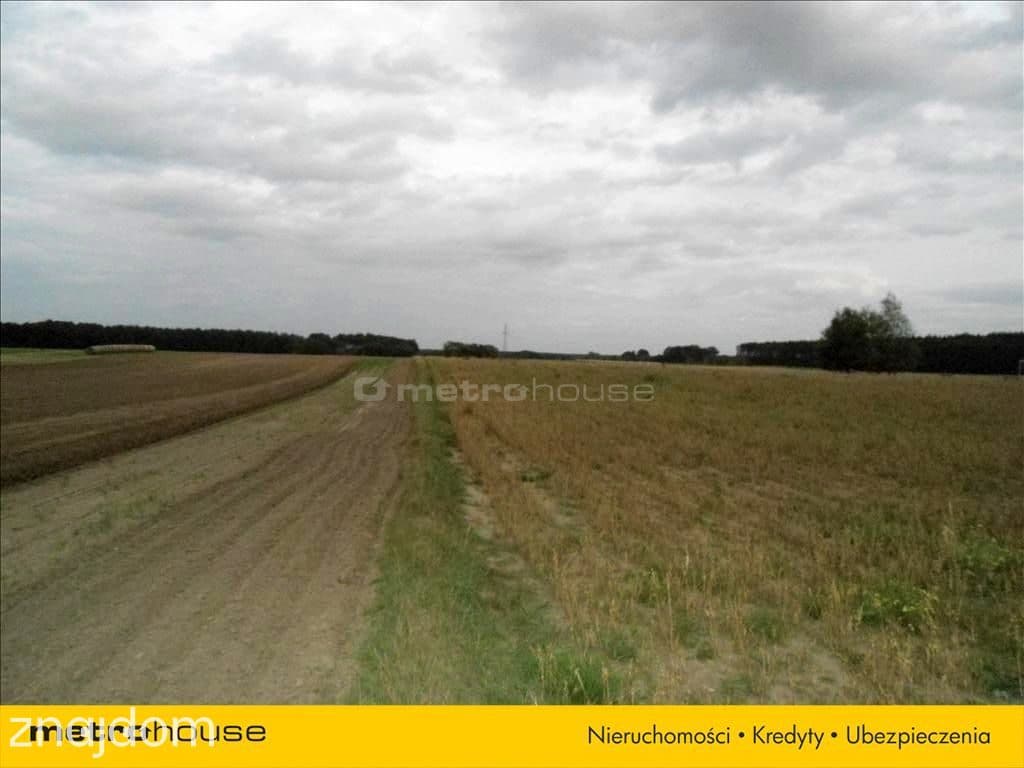 DZIAŁKA 1,12 HA -OLSZA POW. ŚREMSKI, W BUDOWLANA - zdjęcie 4